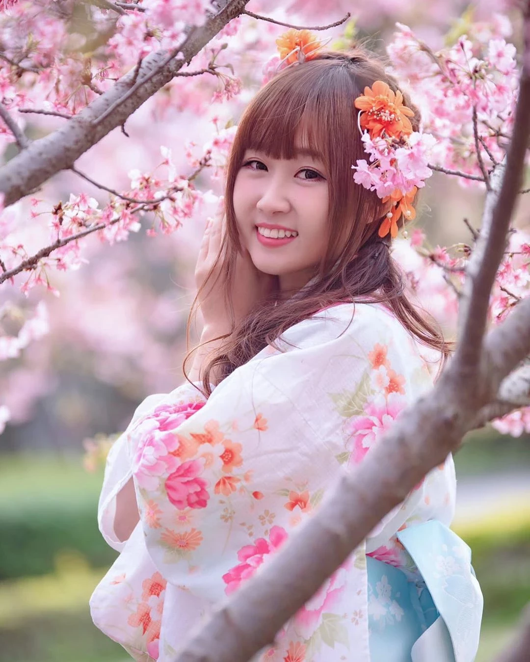 4047002.webp